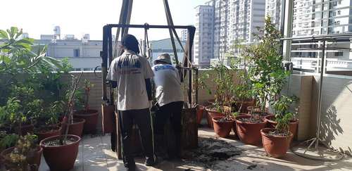 新營新東植栽清運